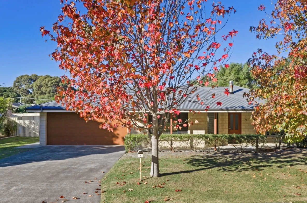 A home and garden photographed beneath an autumn-coloured tree.